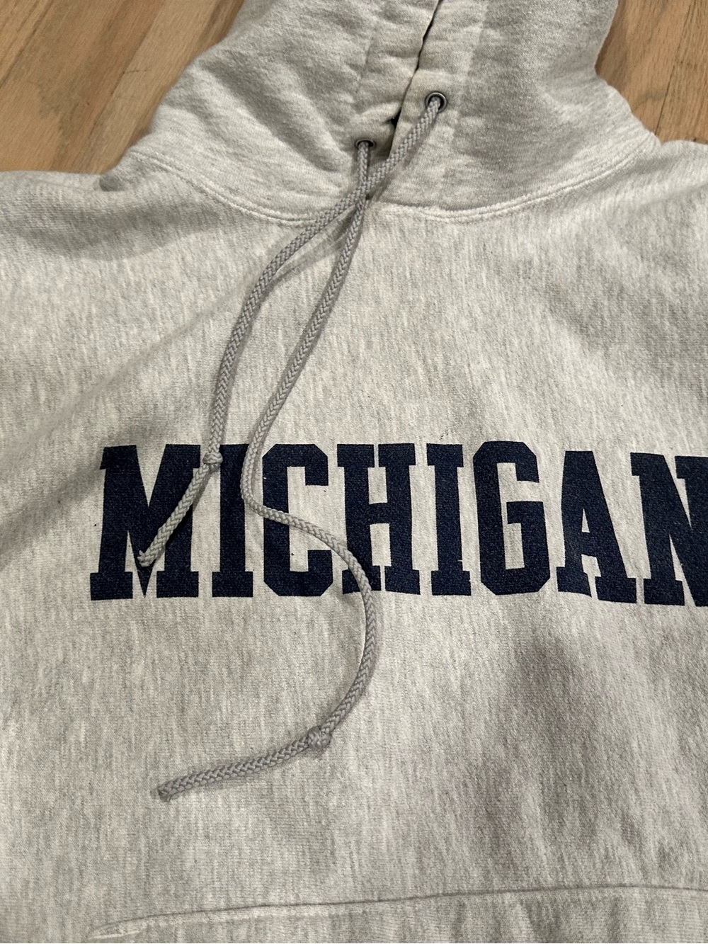 Champion Light Gray Hoodie Michigan Wolverines